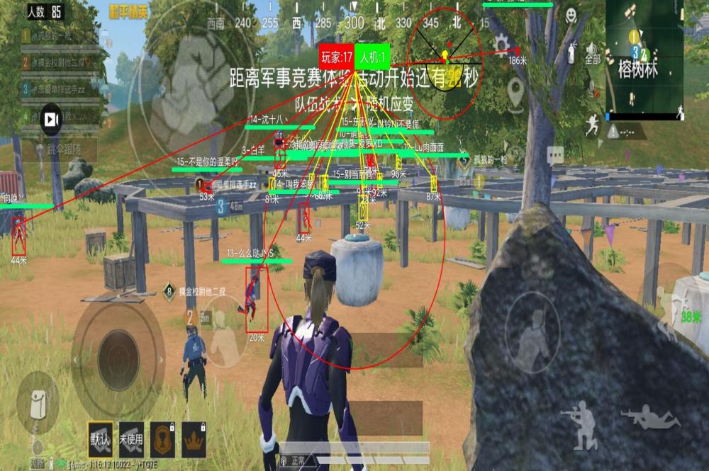 和平精英《火锅》辅助